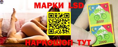 spice Рузаевка