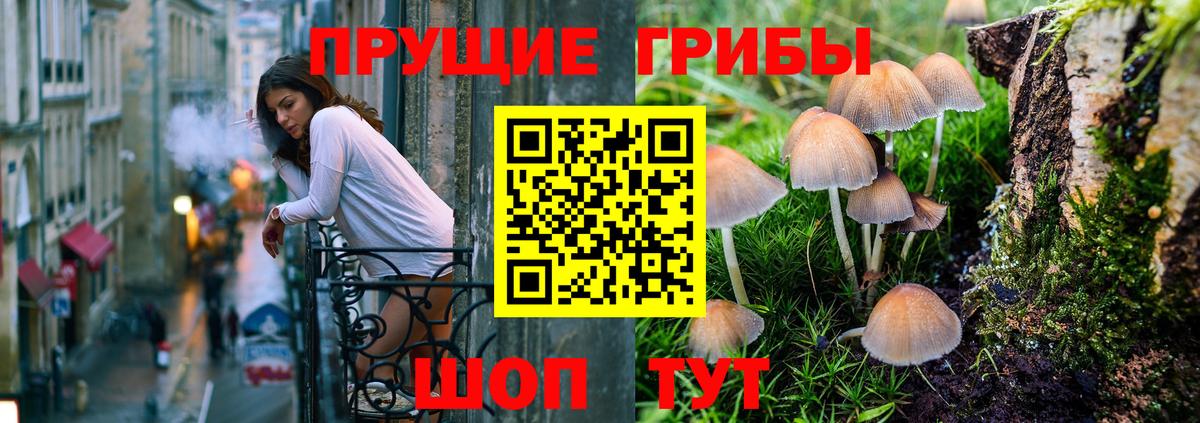 Южноуральск  Галлюциногенные грибы мухоморы  Псилоцибиновые грибы Psilocybine cubensis  Вход с VPN 